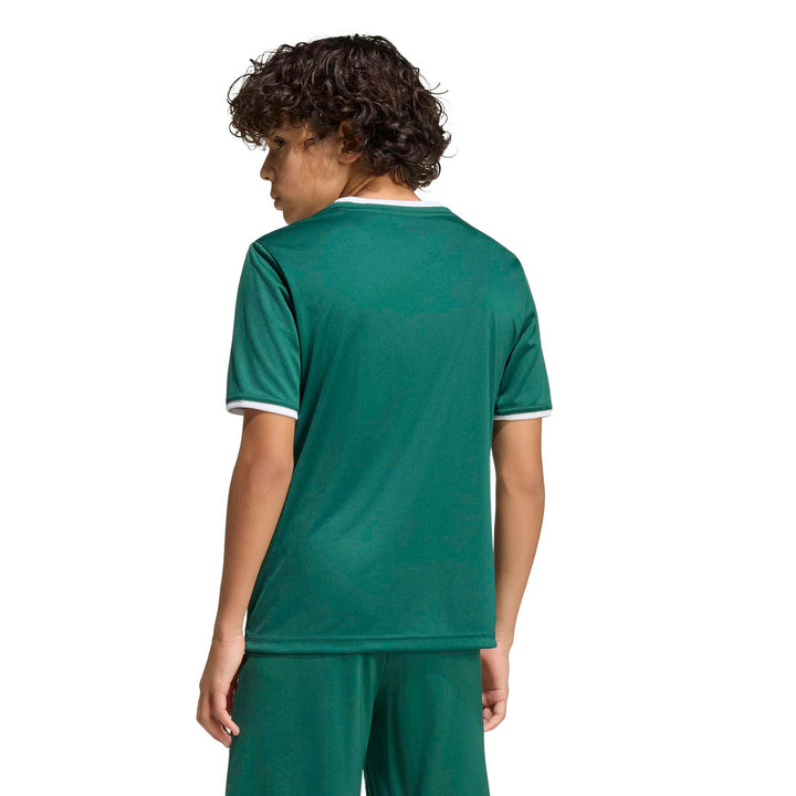 adidas Entrada 26 Jsy Y Kinder - drkgrn/white