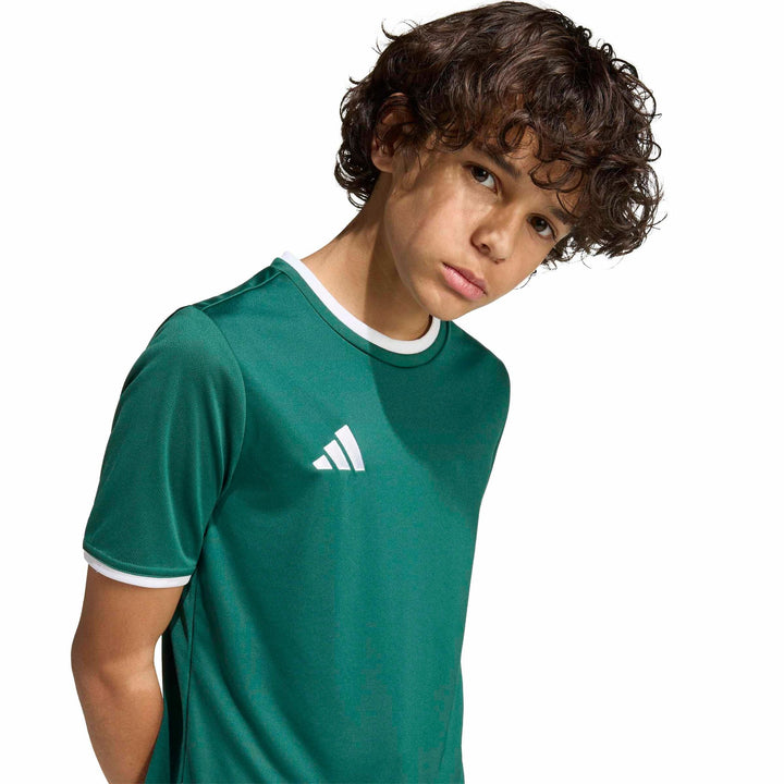 adidas Entrada 26 Jsy Y Kinder - drkgrn/white
