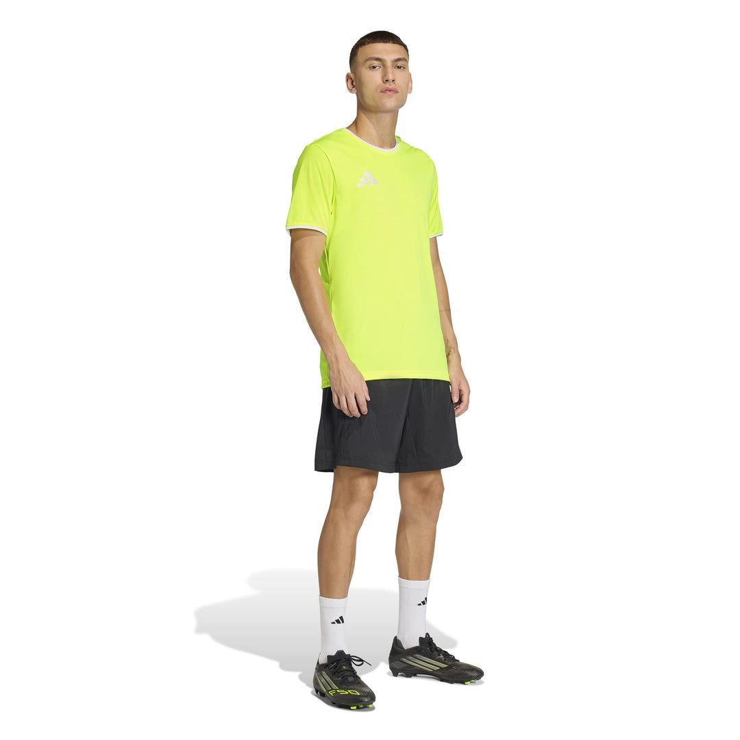 adidas Entrada 26 Jsy - tesoye/white