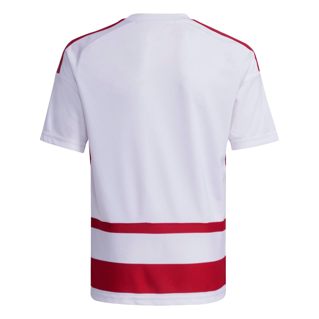 adidas Hooped26 Jsyy - white/tepore