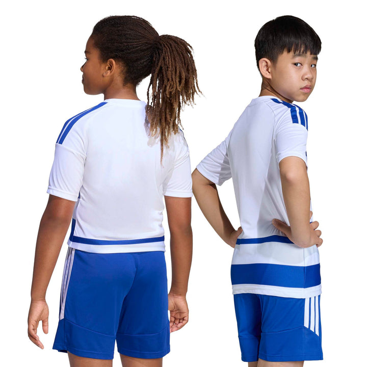 adidas Hooped26 Jsyy - white/royblu