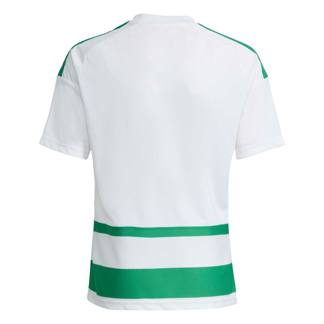 adidas Hooped26 Jsyy - white/teagrn