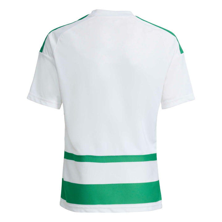 adidas Hooped26 Jsyy - white/teagrn