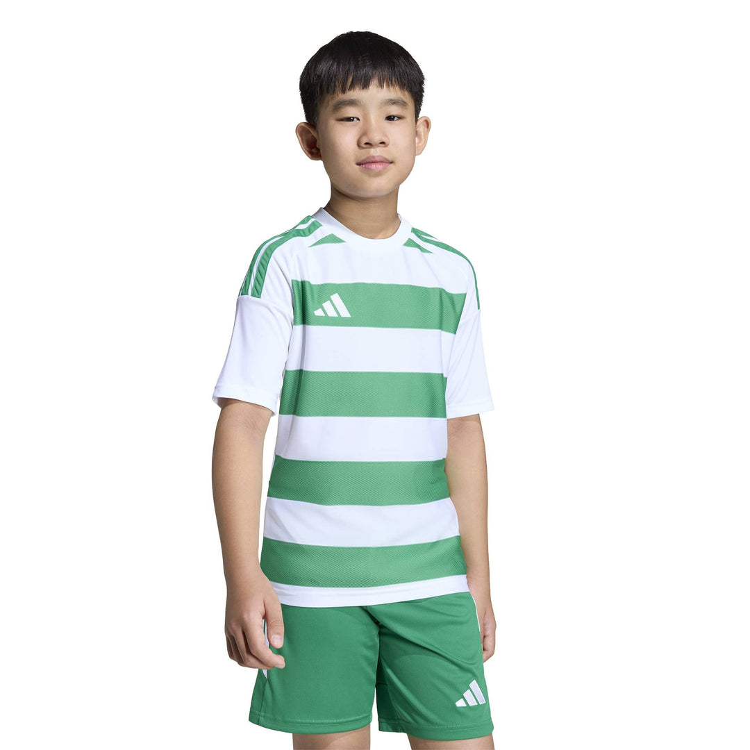 adidas Hooped26 Jsyy - white/teagrn