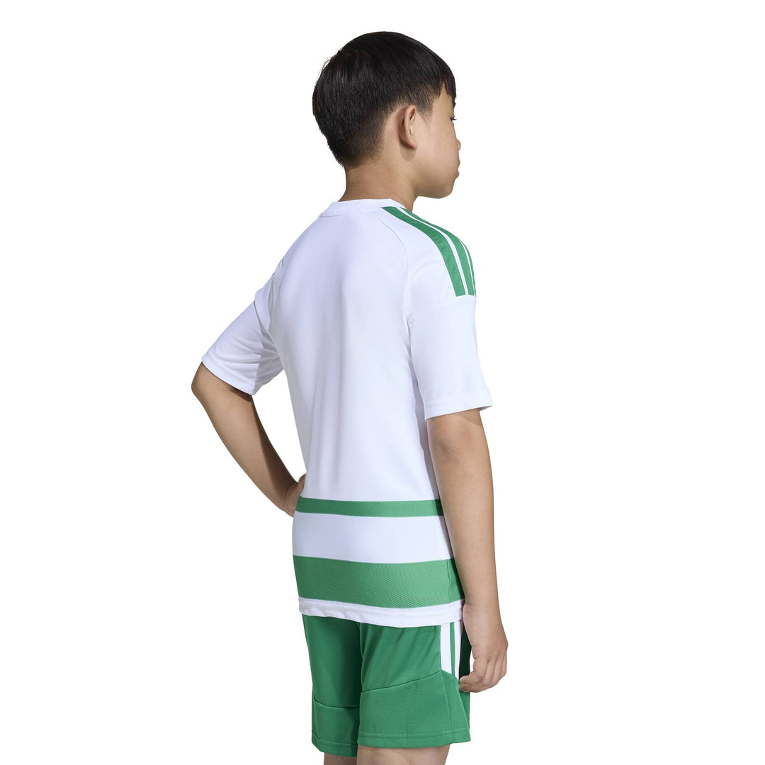 adidas Hooped26 Jsyy - white/teagrn