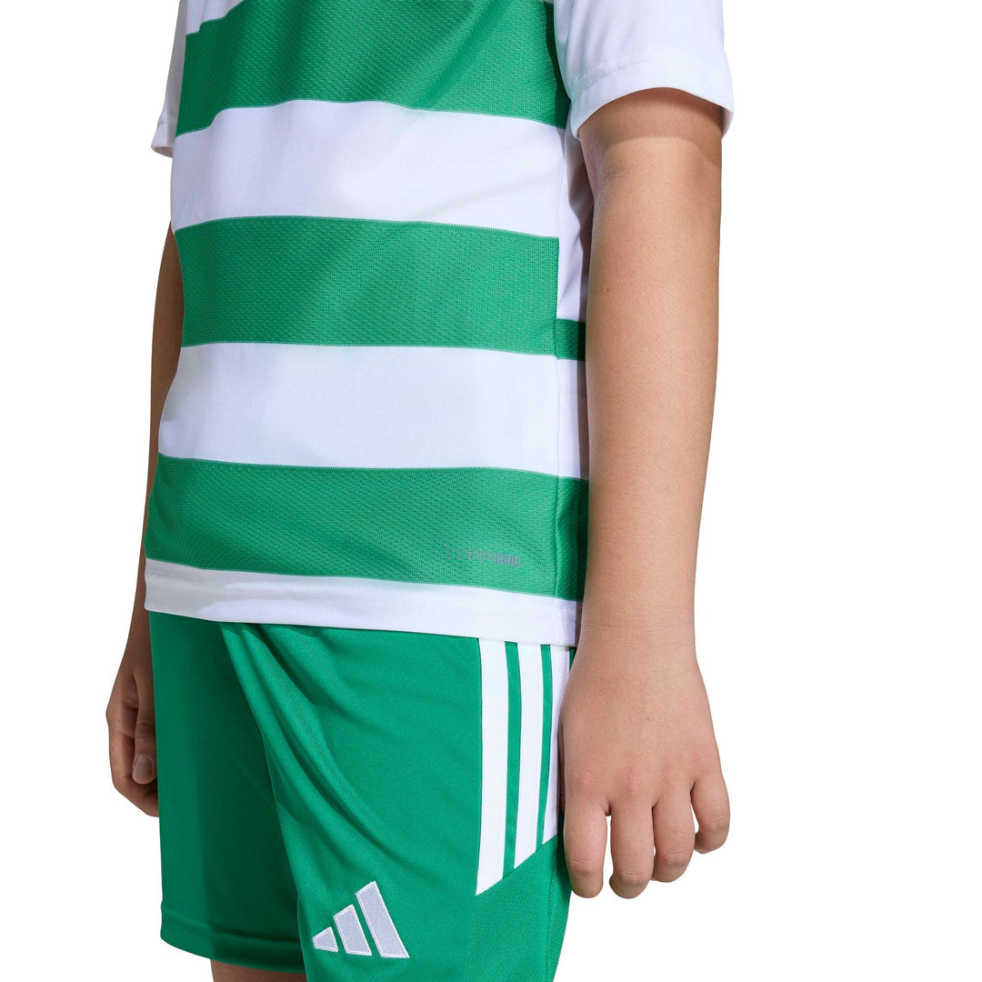 adidas Hooped26 Jsyy - white/teagrn