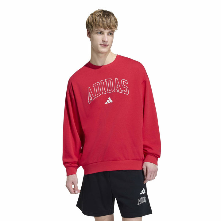 adidas M Coll Ft Crw - purrub/ivory