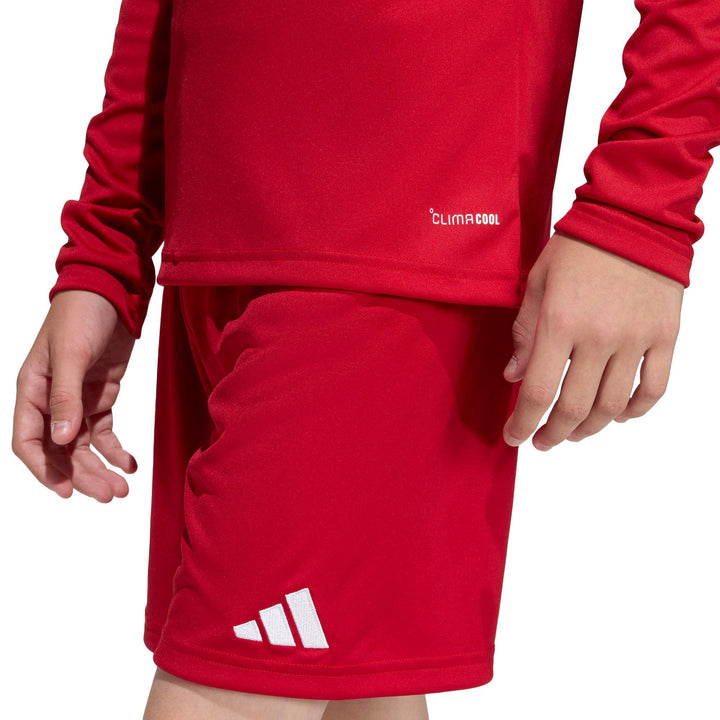 adidas Entrada 26 Jsy Ls Y Kinder - tepore/white
