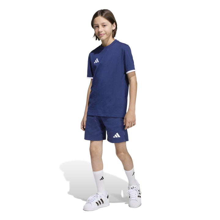 adidas Entrada 26 Sw Sho Y Kinder - tenabl/white