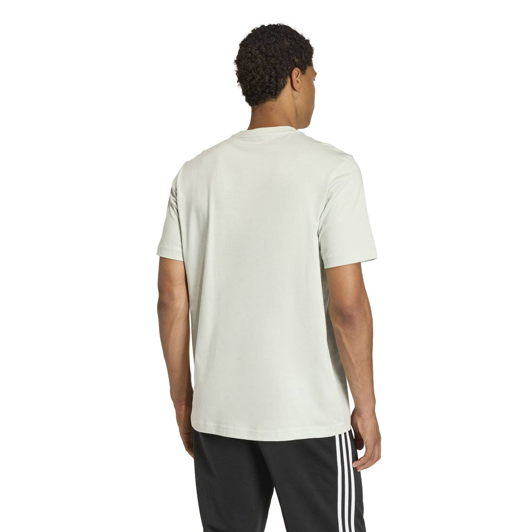 adidas M Mos Stamps T - lingrn