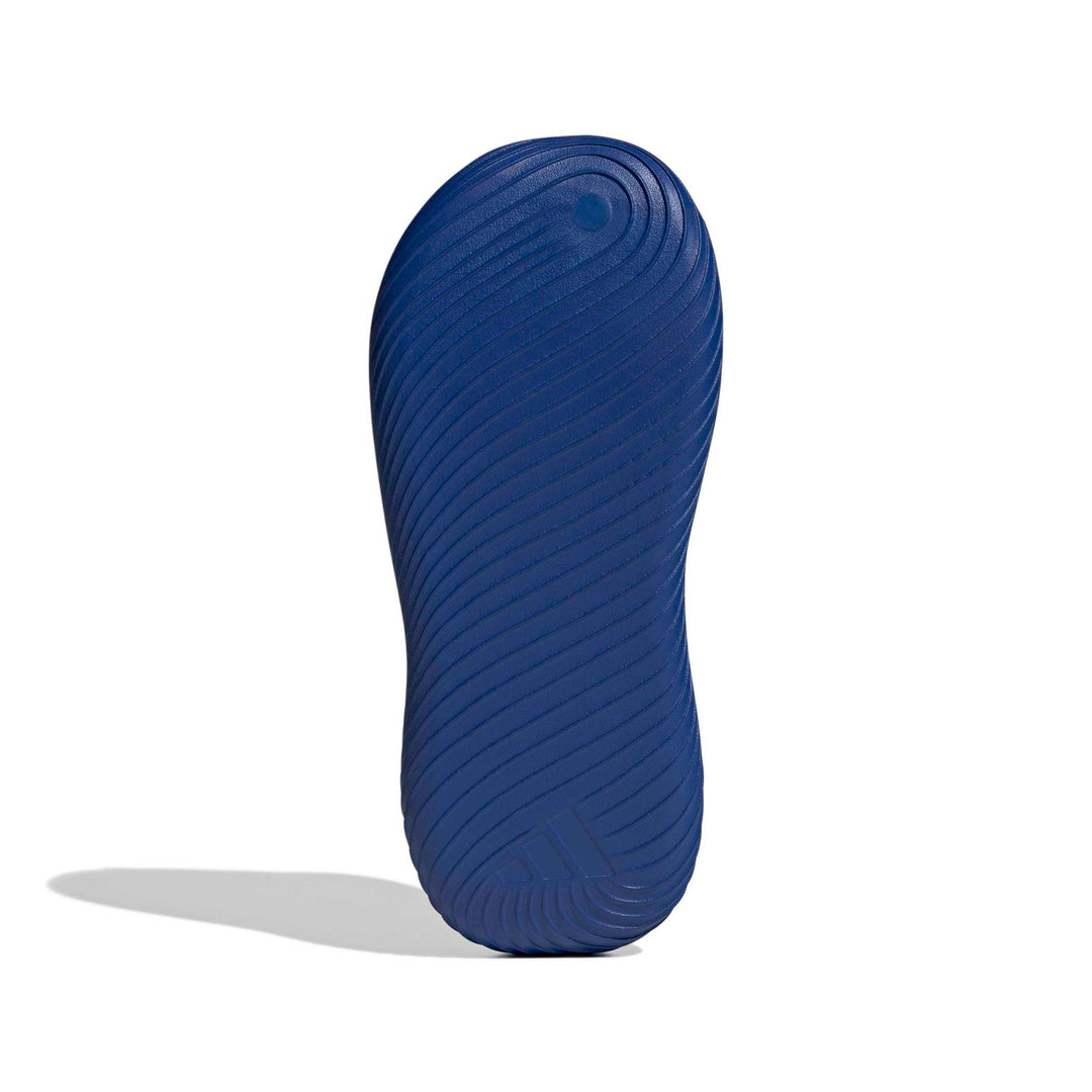 adidas Purechill Slide - royblu/ftwwht/ftwwht