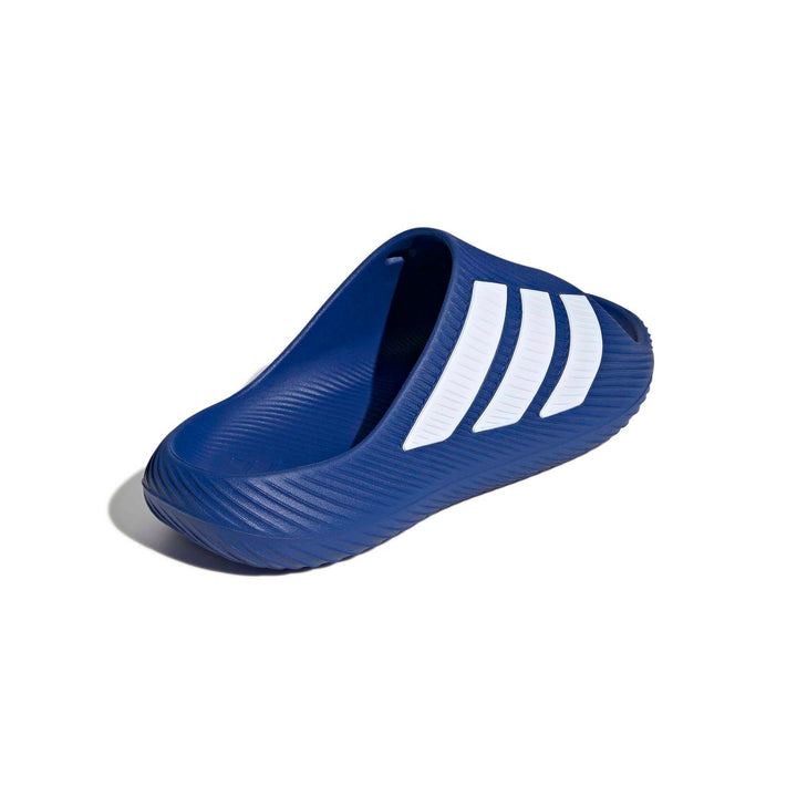 adidas Purechill Slide - royblu/ftwwht/ftwwht