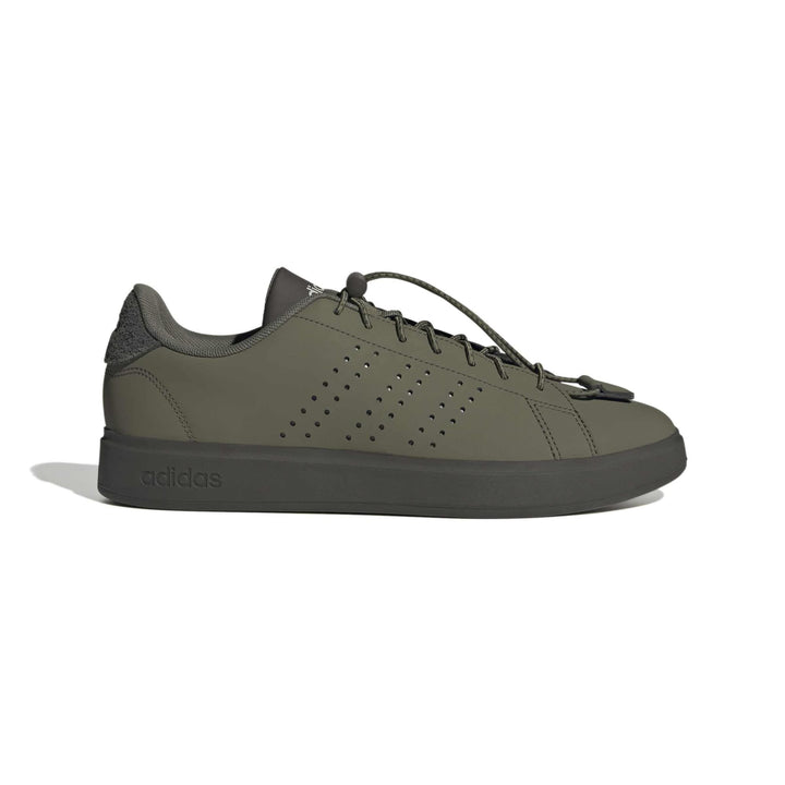 adidas Advantage 2.0 - olistr/olistr/shaoli
