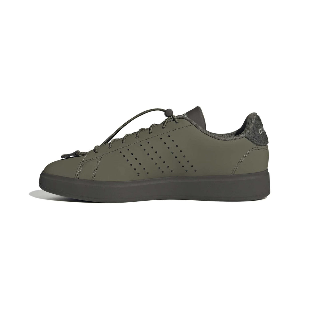 adidas Advantage 2.0 - olistr/olistr/shaoli
