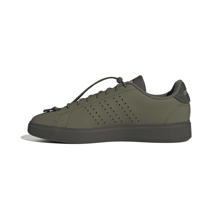 adidas Advantage 2.0 - olistr/olistr/shaoli