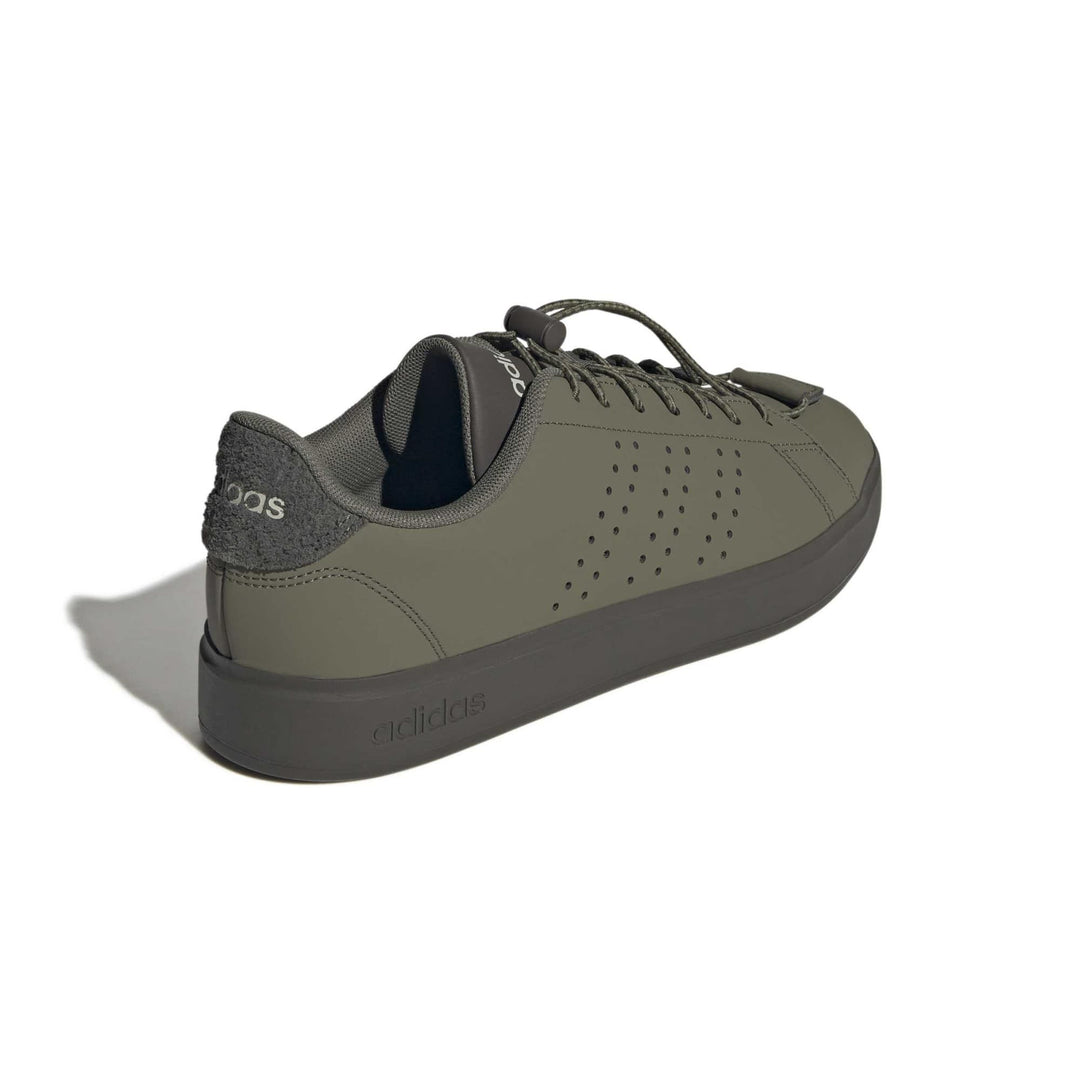 adidas Advantage 2.0 - olistr/olistr/shaoli