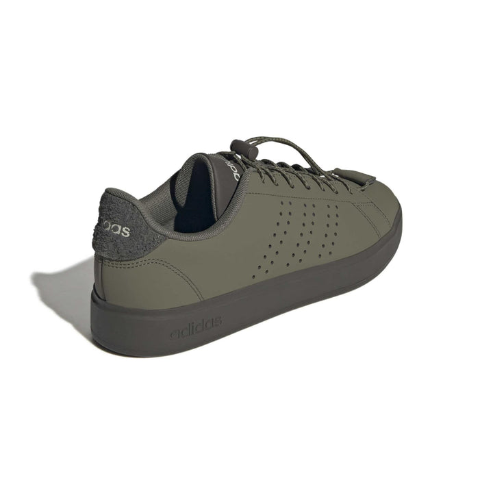adidas Advantage 2.0 - olistr/olistr/shaoli