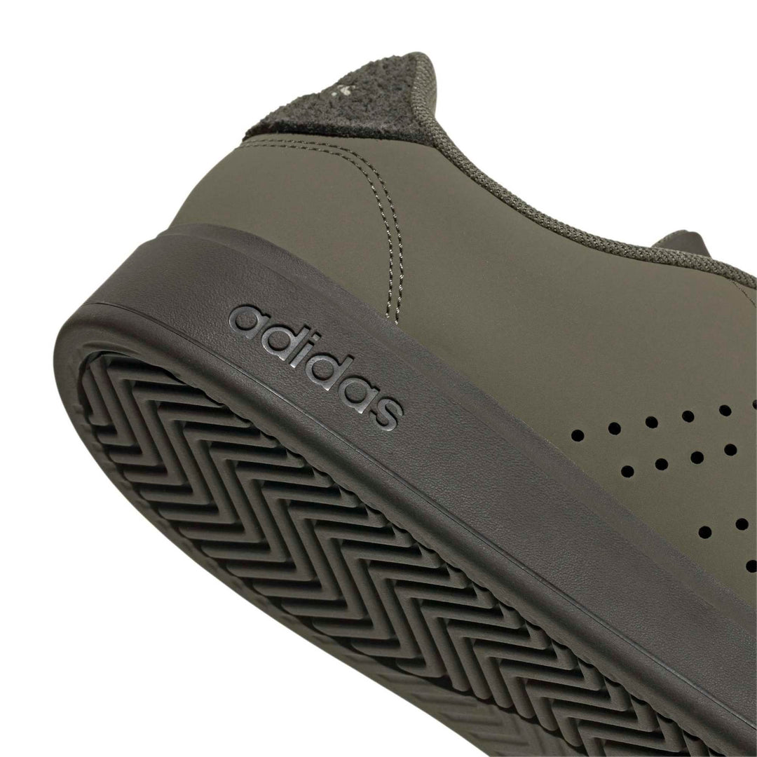 adidas Advantage 2.0 - olistr/olistr/shaoli