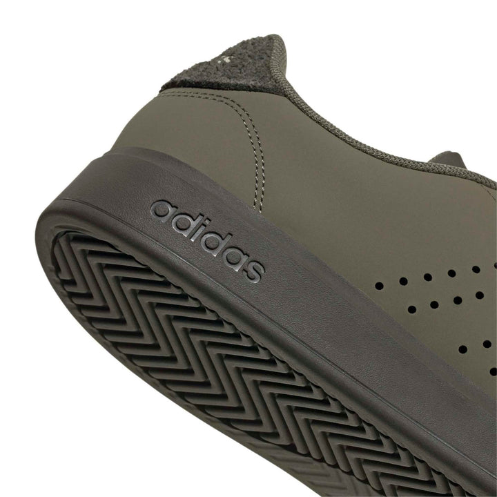 adidas Advantage 2.0 - olistr/olistr/shaoli