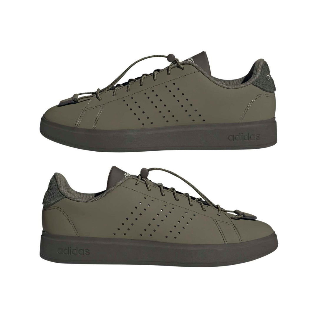 adidas Advantage 2.0 - olistr/olistr/shaoli