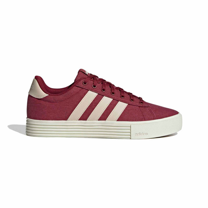 adidas Daily 4.0 - cburgu/crli/owhite