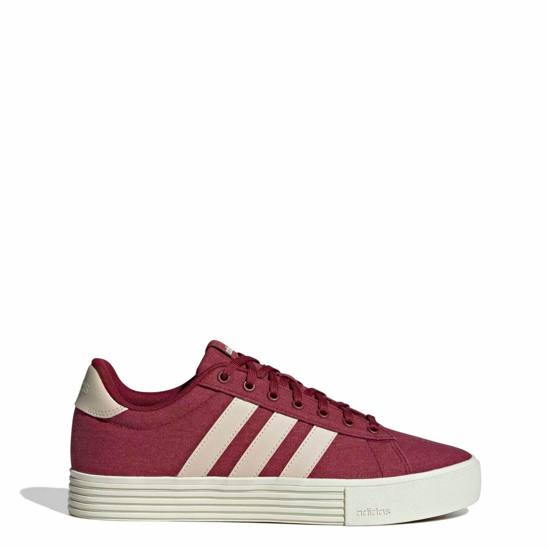 adidas Daily 4.0 - cburgu/crli/owhite