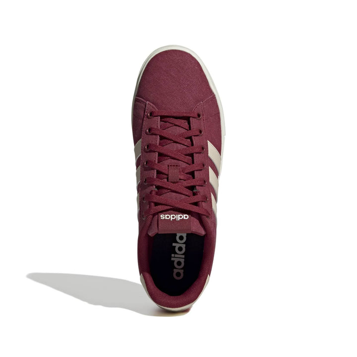 adidas Daily 4.0 - cburgu/crli/owhite