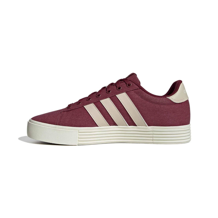 adidas Daily 4.0 - cburgu/crli/owhite