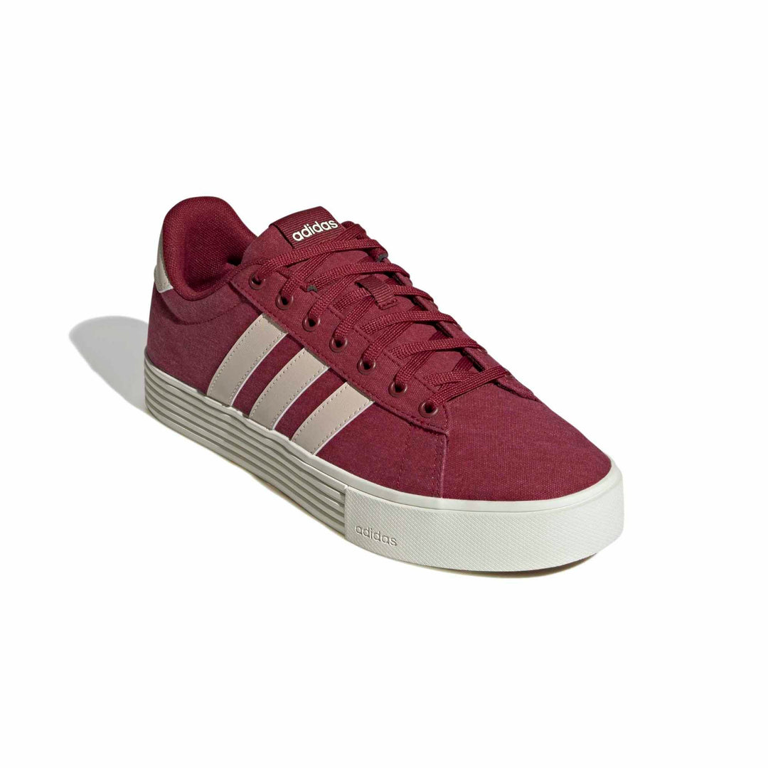adidas Daily 4.0 - cburgu/crli/owhite