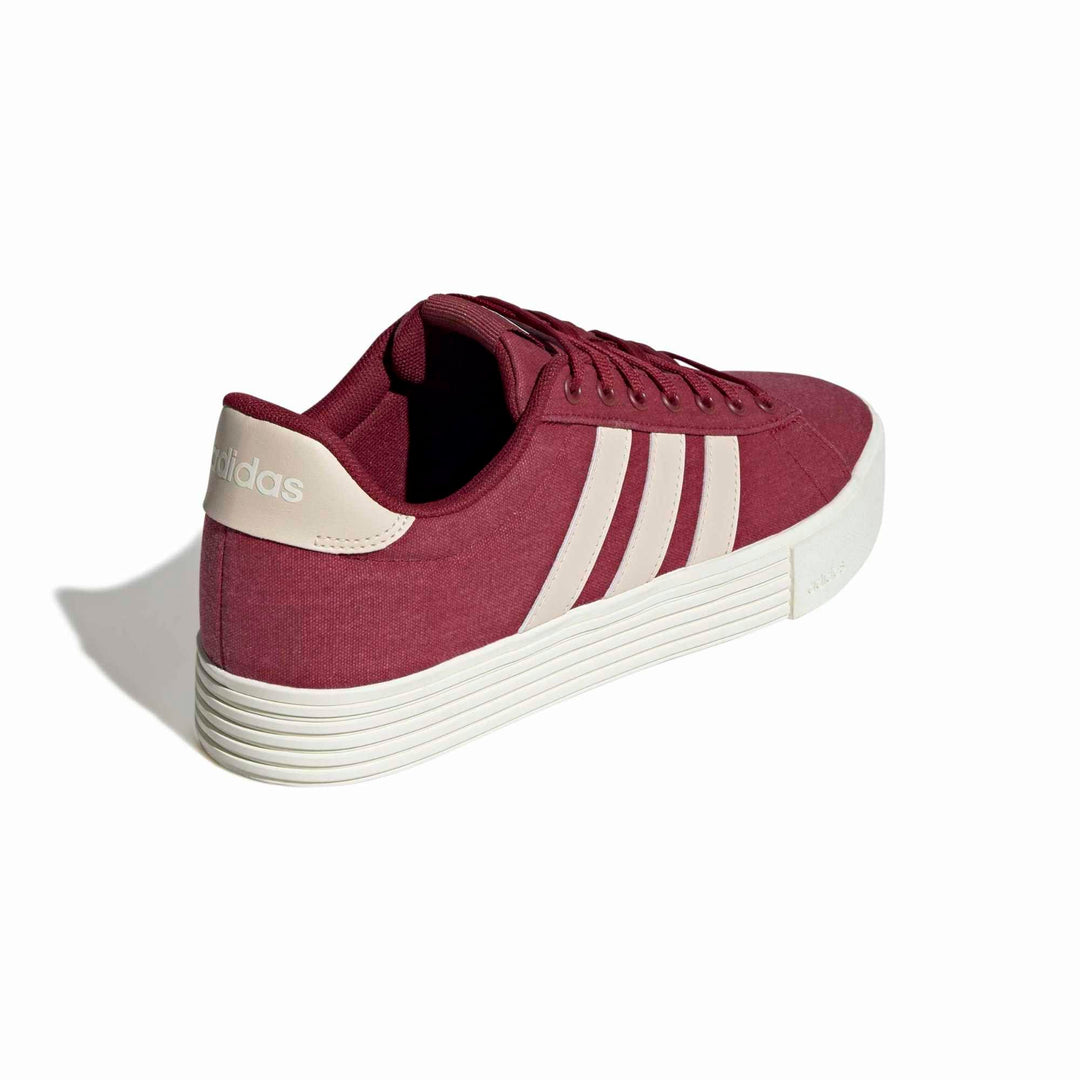 adidas Daily 4.0 - cburgu/crli/owhite
