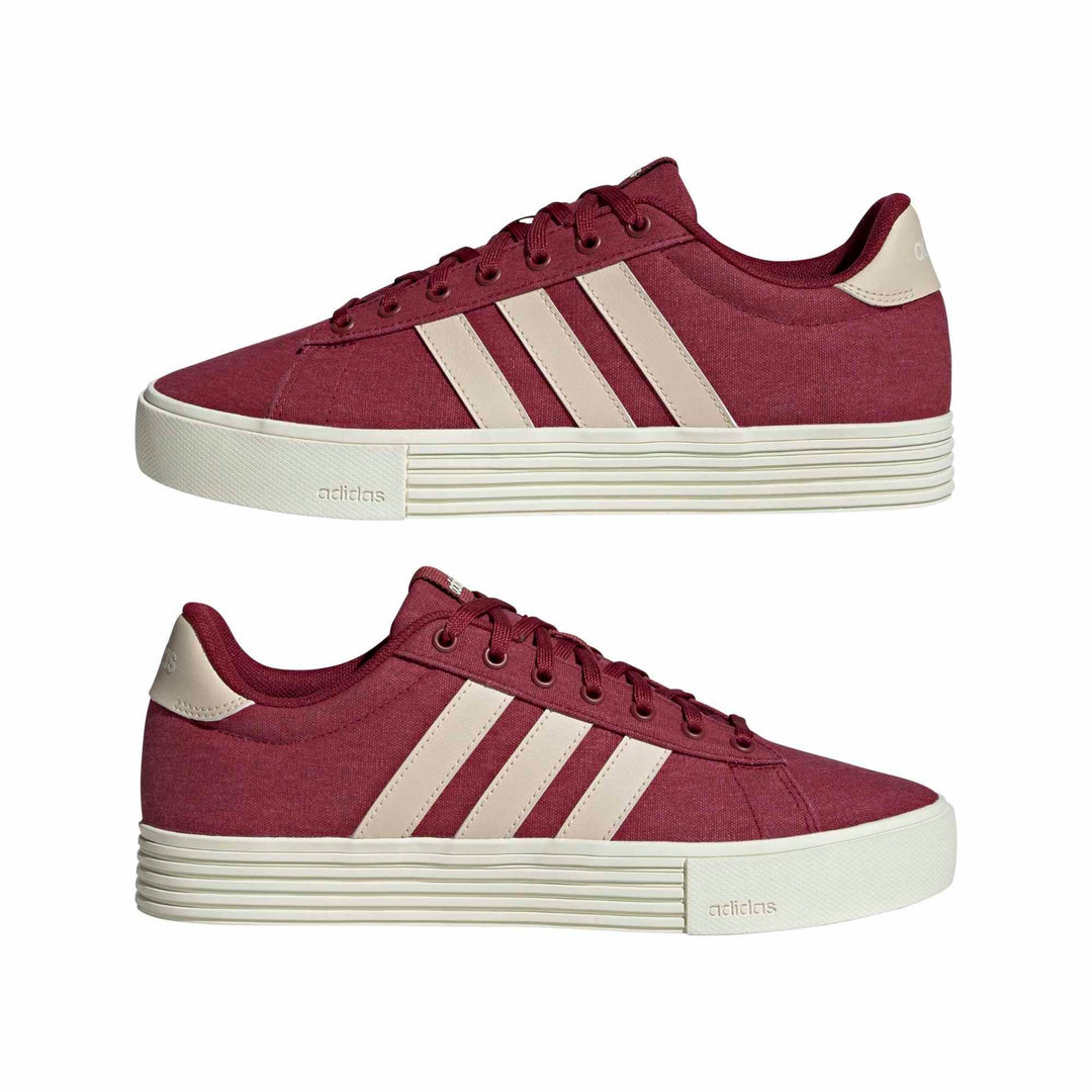 adidas Daily 4.0 - cburgu/crli/owhite