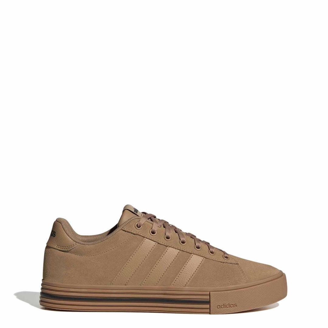 adidas Daily 4.0 - cardbo/gum4/cblack