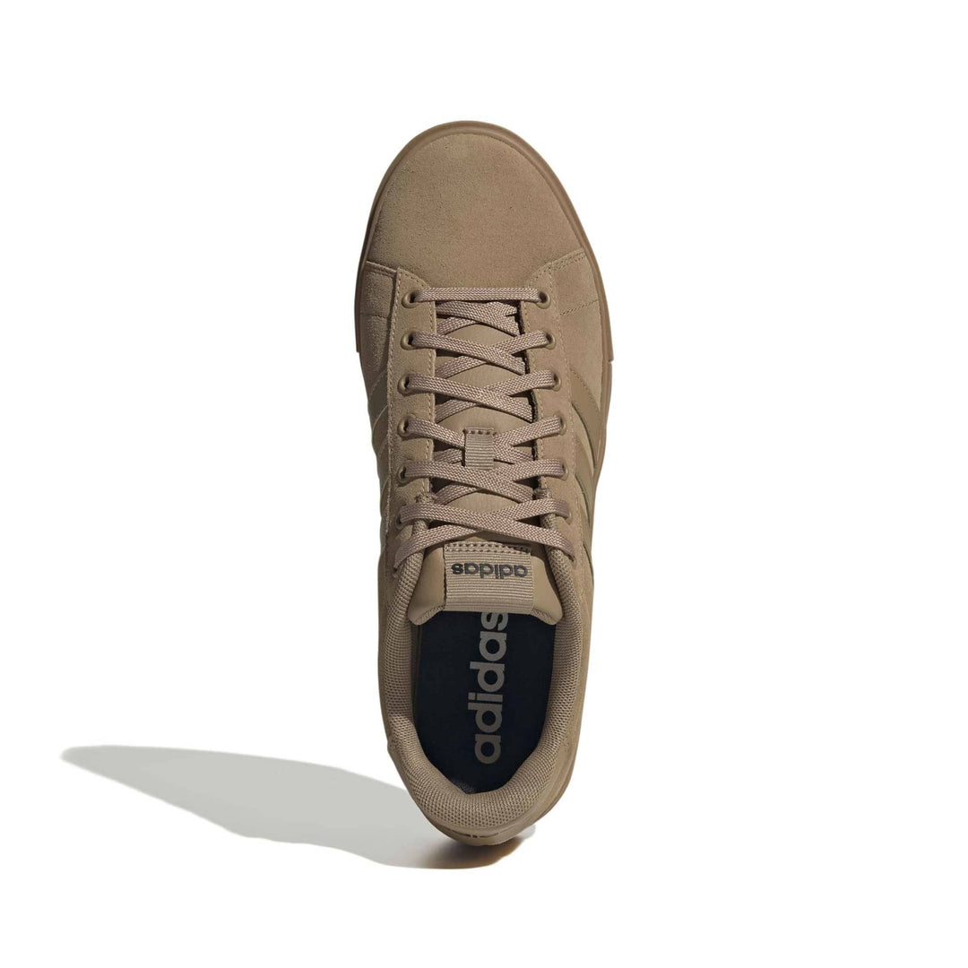 adidas Daily 4.0 - cardbo/gum4/cblack