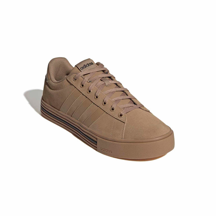 adidas Daily 4.0 - cardbo/gum4/cblack