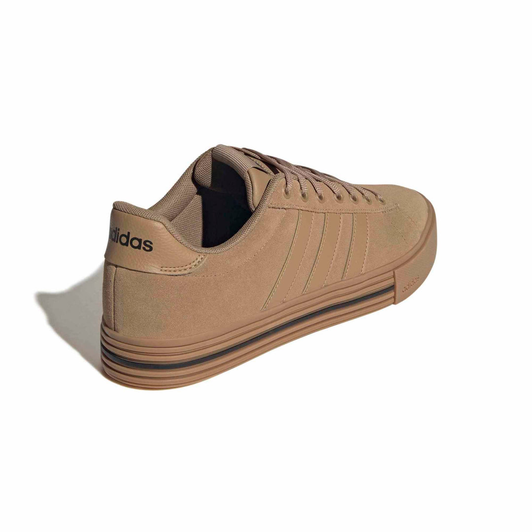 adidas Daily 4.0 - cardbo/gum4/cblack