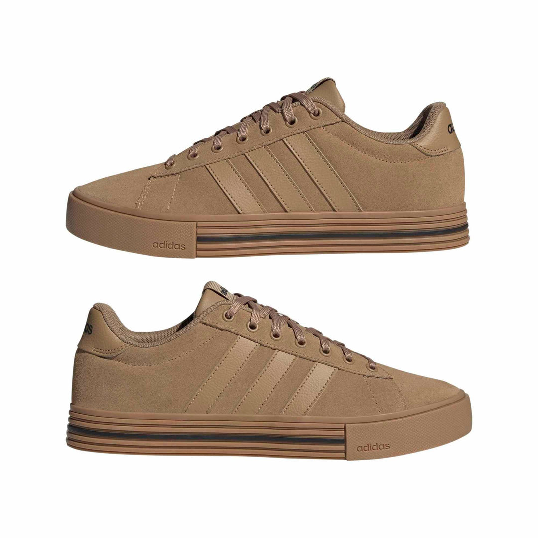 adidas Daily 4.0 - cardbo/gum4/cblack