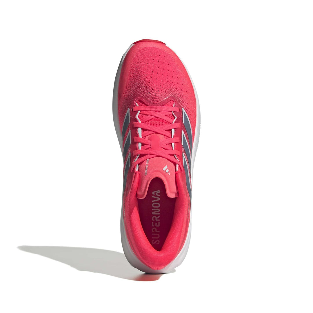 adidas Supernova Rise 3 M - lucred/tecink/halblu