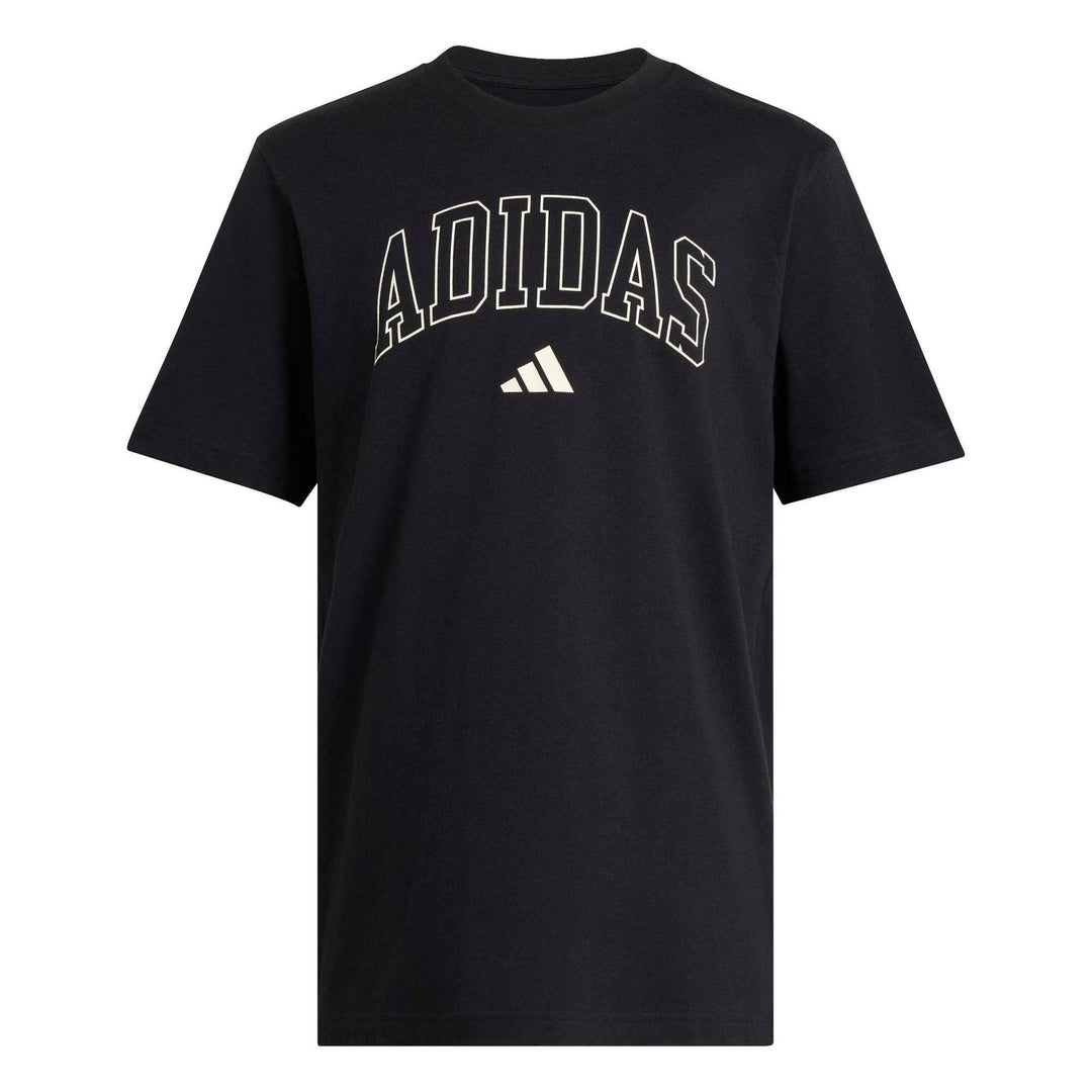 adidas M Collegiate T - black