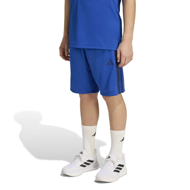 adidas J Tr-Es 3S Sh - royblu/dkblue