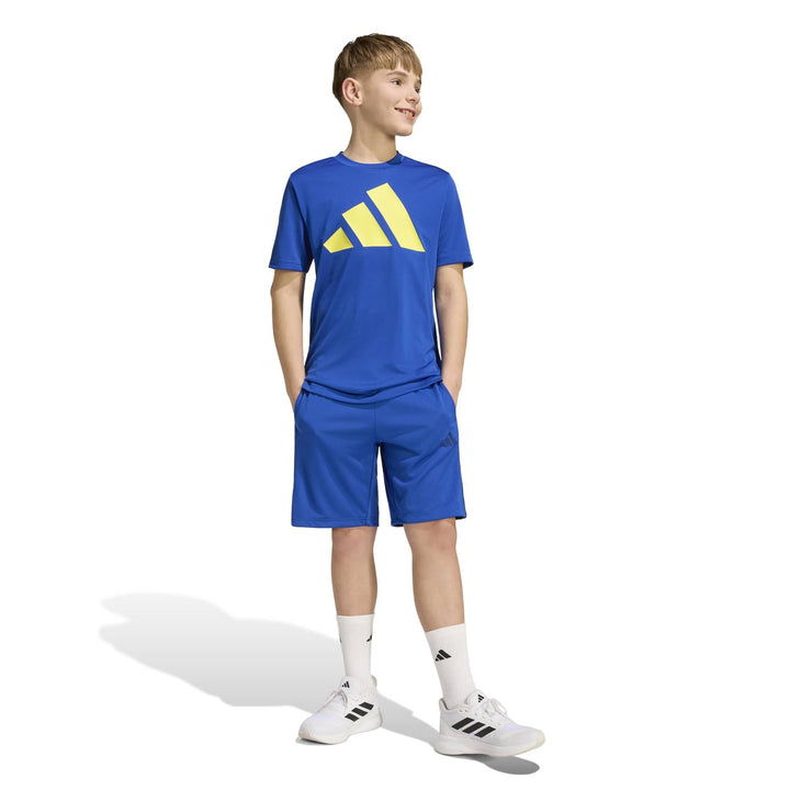 adidas J Tr-Es 3S Sh - royblu/dkblue