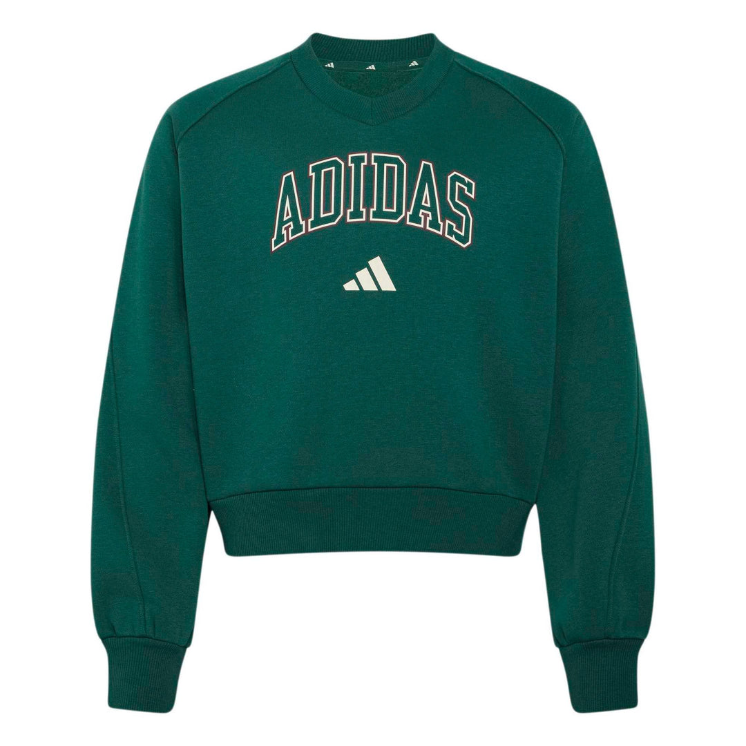 adidas Jg Clgt V-Neck - cgreen/ivory
