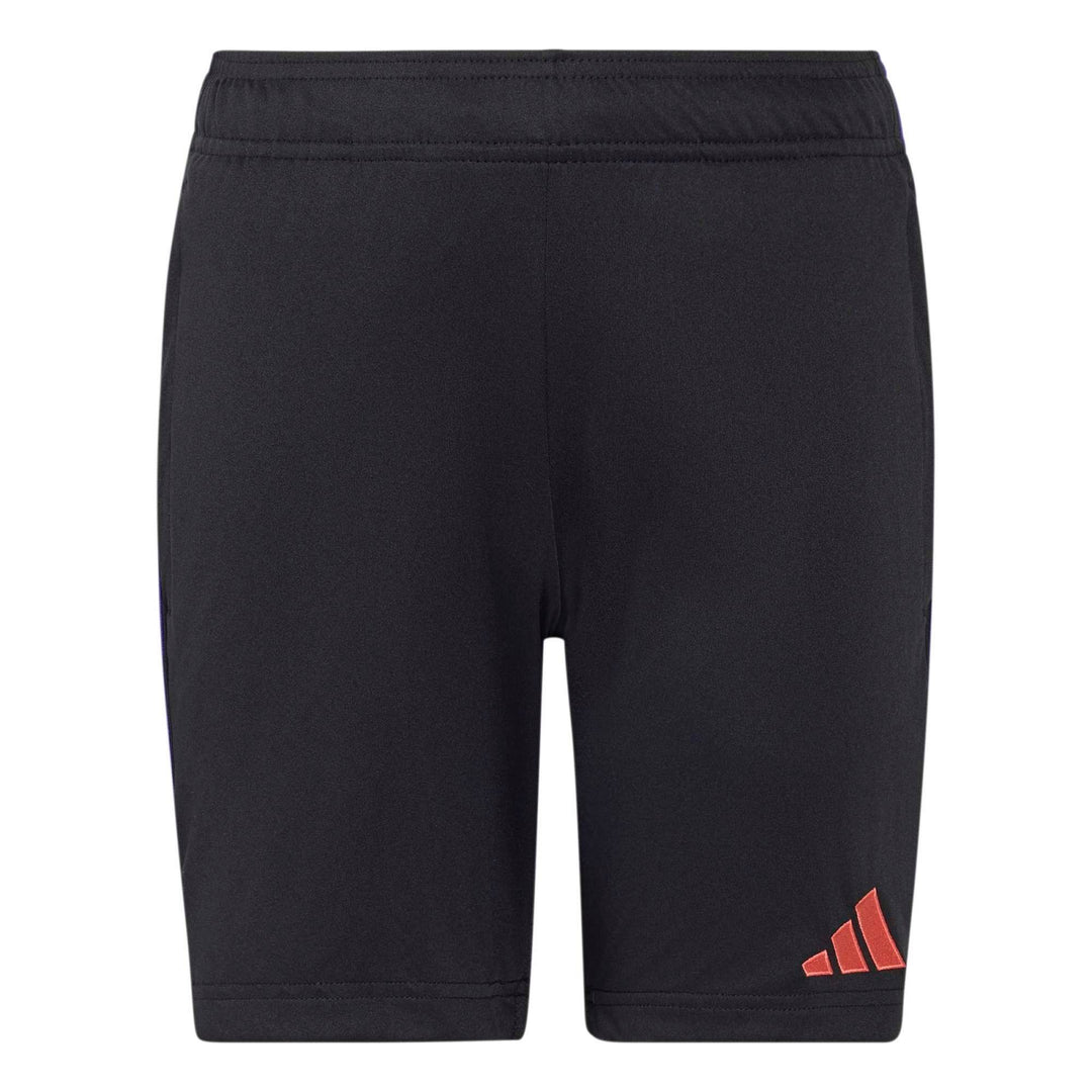 adidas Tiro26L  Trshoy - black/purpur
