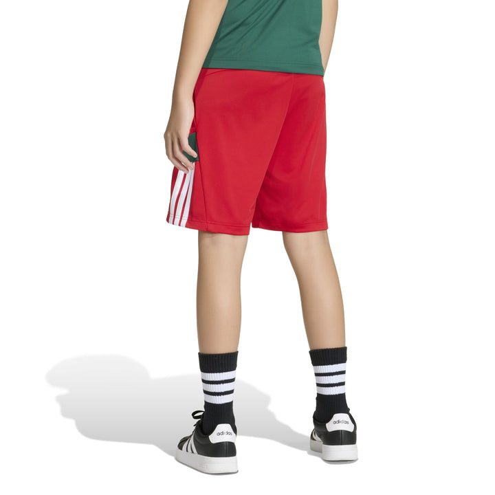adidas J Hot Sho - betsca/white/drkgrn