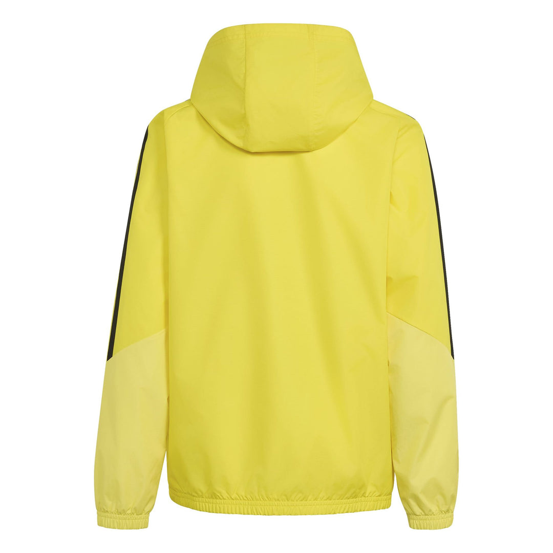 adidas Tiro26C Aw Jkty - tmyell/lgtyel/black