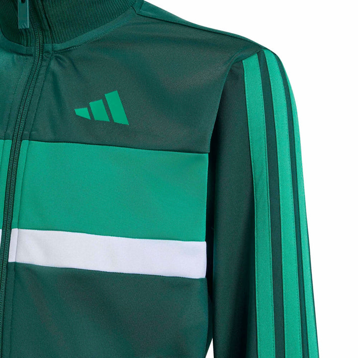 adidas J 3S Tiberio Ts - cgreen/cougrn