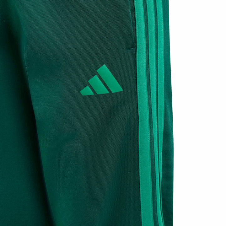 adidas J 3S Tiberio Ts - cgreen/cougrn