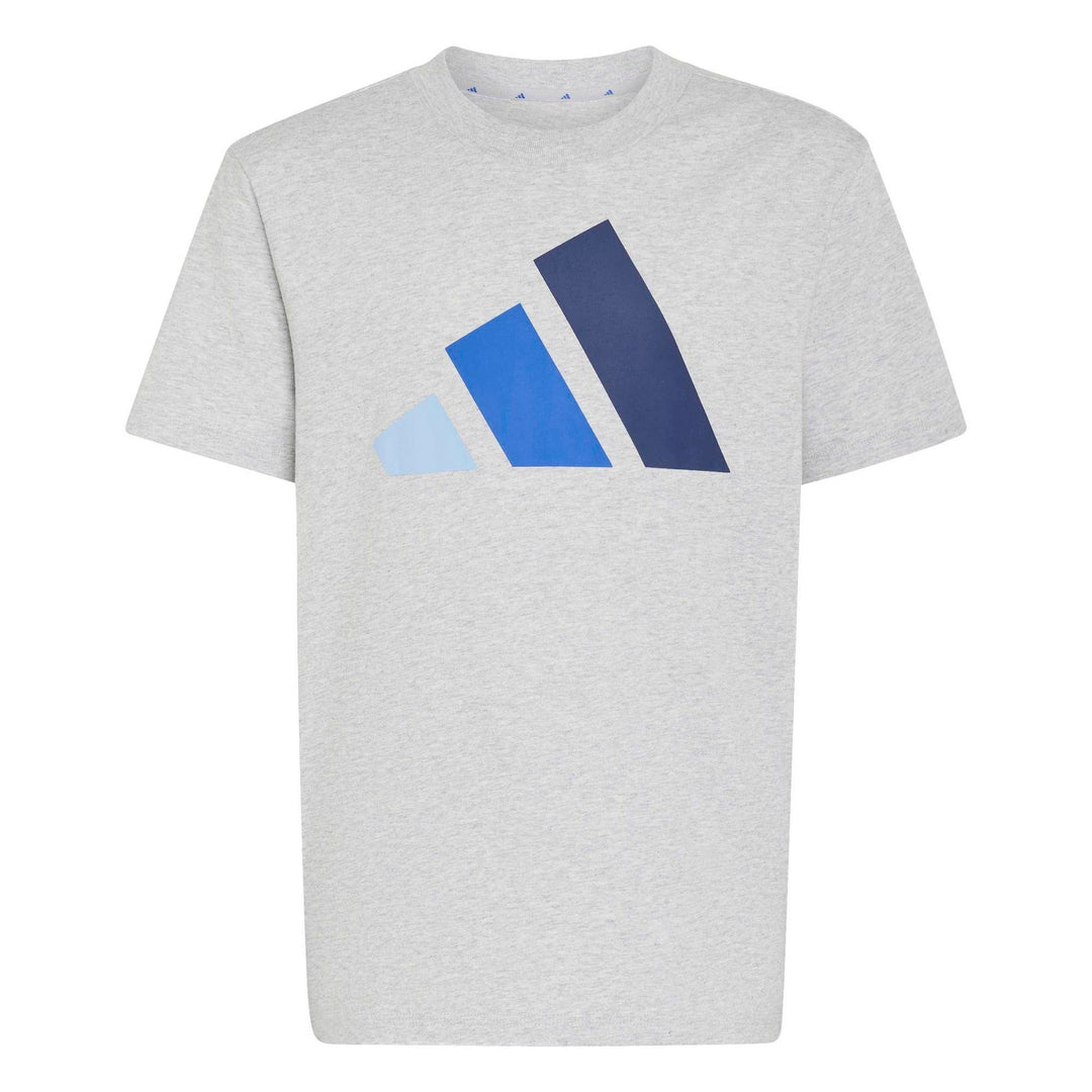 adidas J Bl Tee 160 - lgreyh/globlu/royblu/