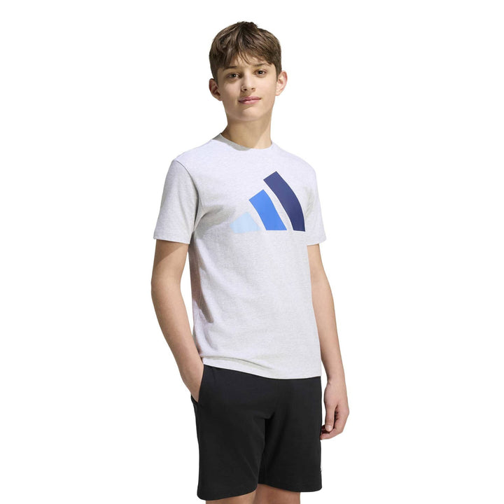 adidas J Bl Tee 160 - lgreyh/globlu/royblu/