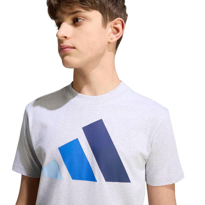 adidas J Bl Tee 160 - lgreyh/globlu/royblu/