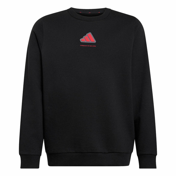 adidas B Fl Swt - black